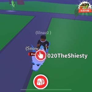 FR Frost furry ( Fly Ride ) Adopt Me-CHEAP AND FAST DELIVERY!!